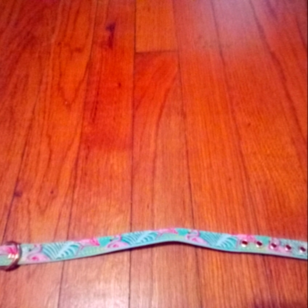 Dog Collar